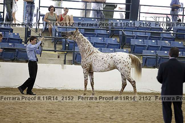 Proof 11r14_2152