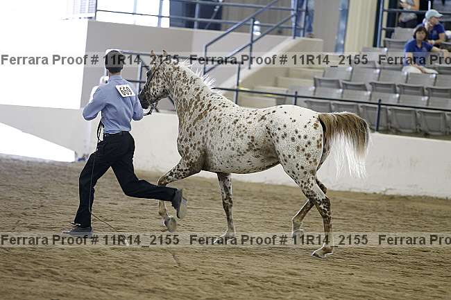 Proof 11r14_2155