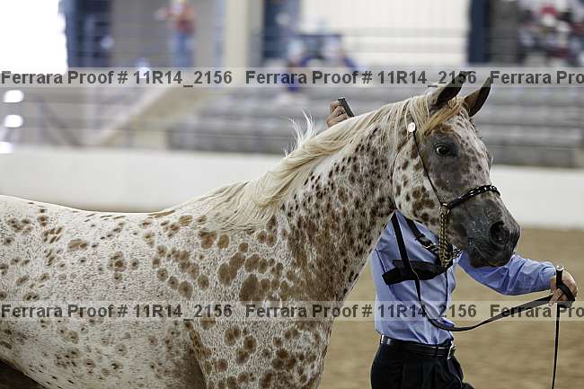 Proof 11r14_2156