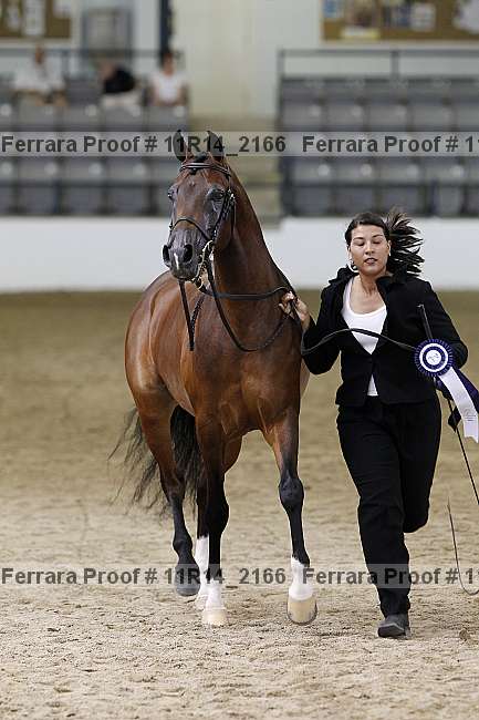 Proof 11r14_2166