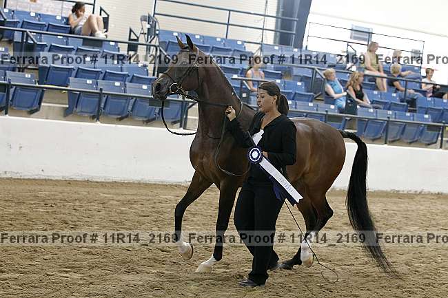 Proof 11r14_2169