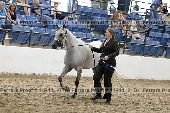 Proof 11r14_2170