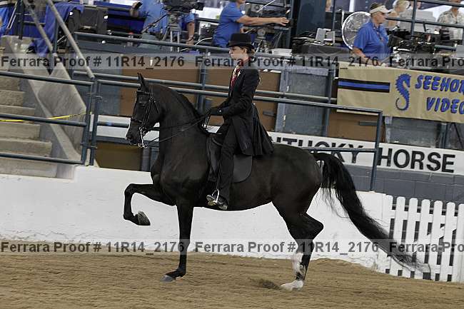 Proof 11r14_2176