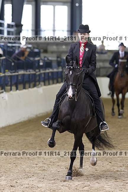 Proof 11r14_2181