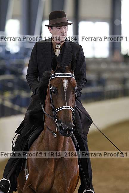 Proof 11r14_2184