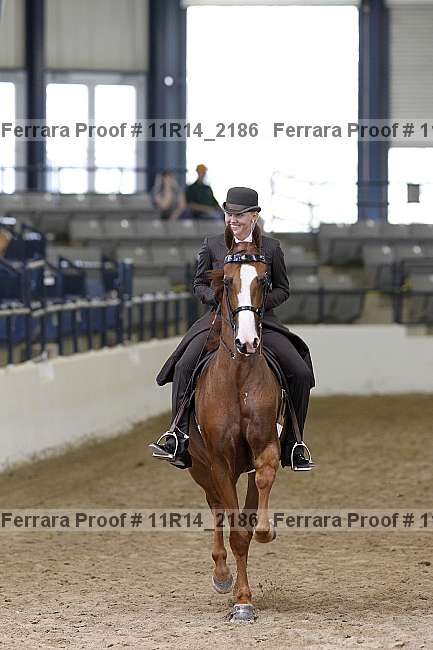 Proof 11r14_2186