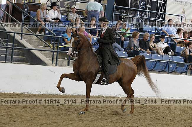 Proof 11r14_2194