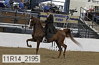11r14_2195 proof