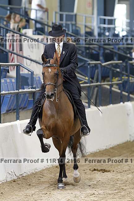 Proof 11r14_2196