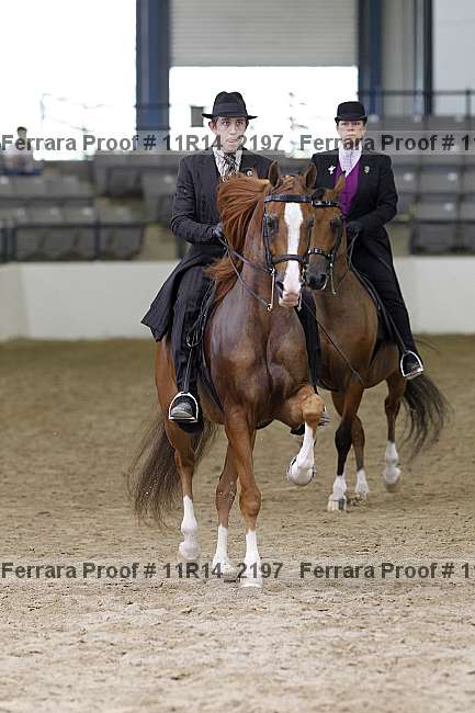 Proof 11r14_2197