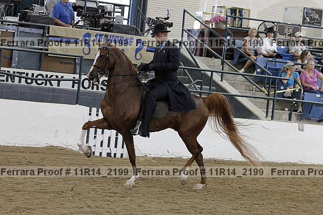 Proof 11r14_2199