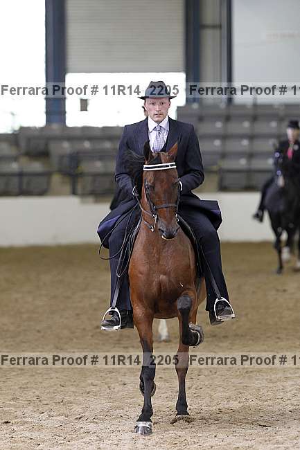 Proof 11r14_2205