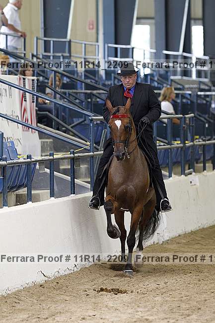 Proof 11r14_2209