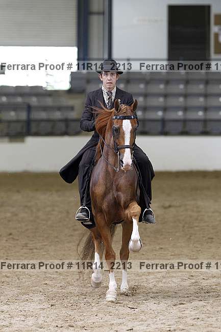 Proof 11r14_2213