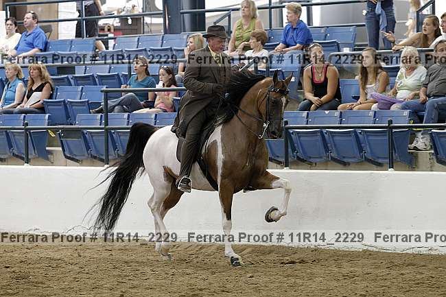 Proof 11r14_2229