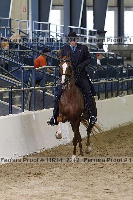 Proof 11r14_2242