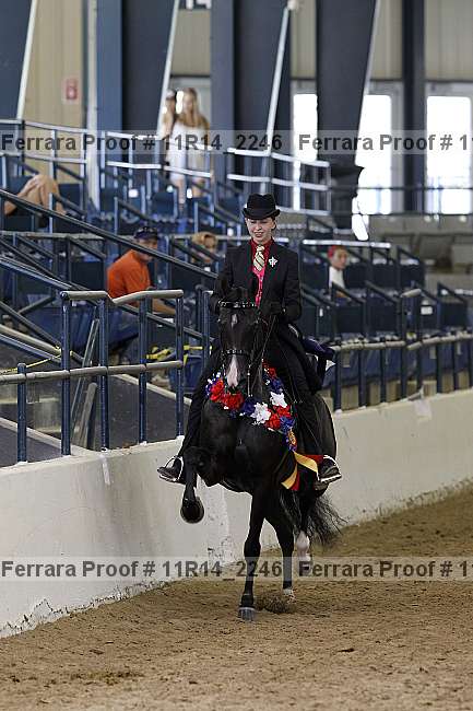 Proof 11r14_2246