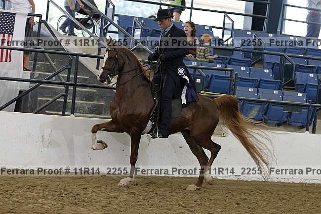 Proof 11r14_2255