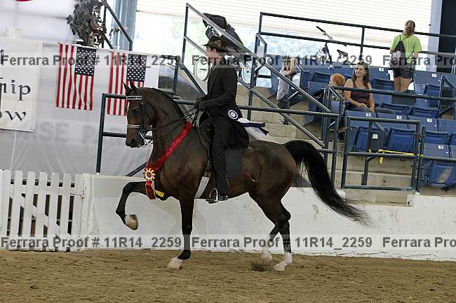 Proof 11r14_2259