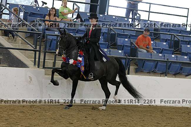 Proof 11r14_2261