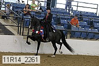 11r14_2261 proof