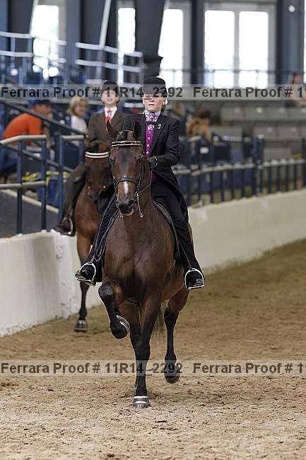 Proof 11r14_2292