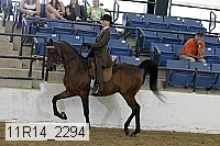 11r14_2294 proof