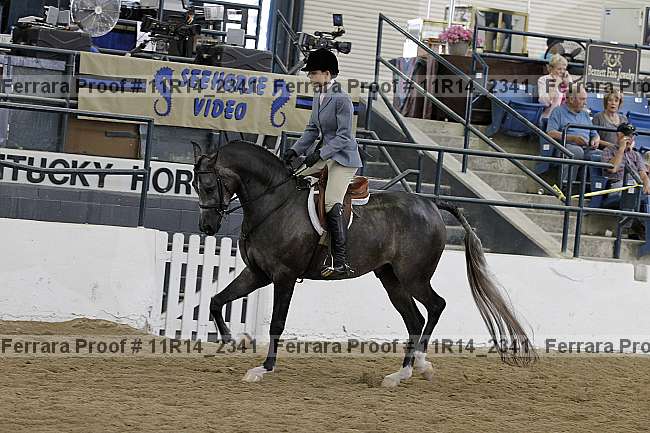 Proof 11r14_2341