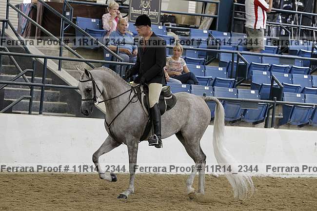Proof 11r14_2344