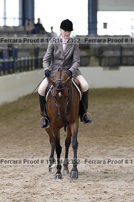 Proof 11r14_2352