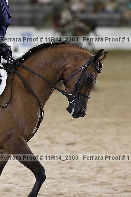 Proof 11r14_2363