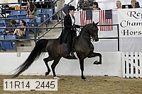 11r14_2445 proof