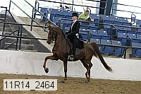 11r14_2464 proof