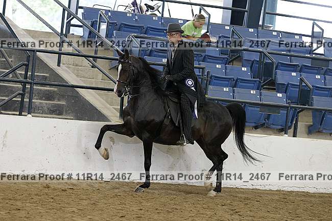Proof 11r14_2467
