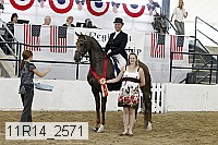 11r14_2571 proof
