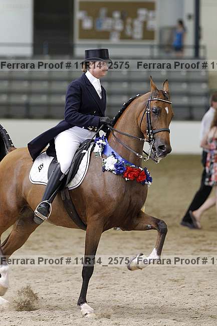 Proof 11r14_2575