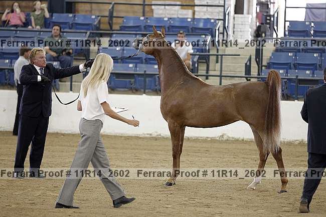Proof 11r14_2602
