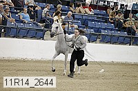 11r14_2644 proof