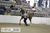 11r14_2688 proof