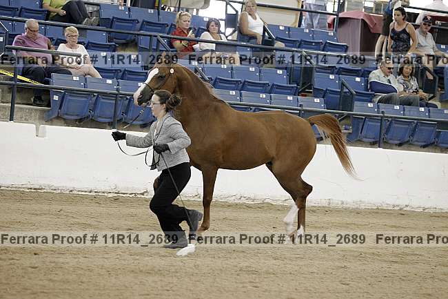 Proof 11r14_2689