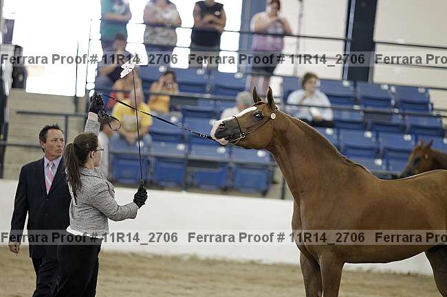 Proof 11r14_2706