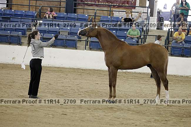 Proof 11r14_2709