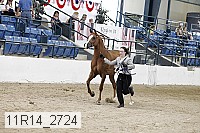 11r14_2724 proof