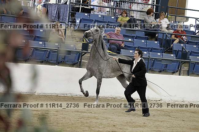 Proof 11r14_2736
