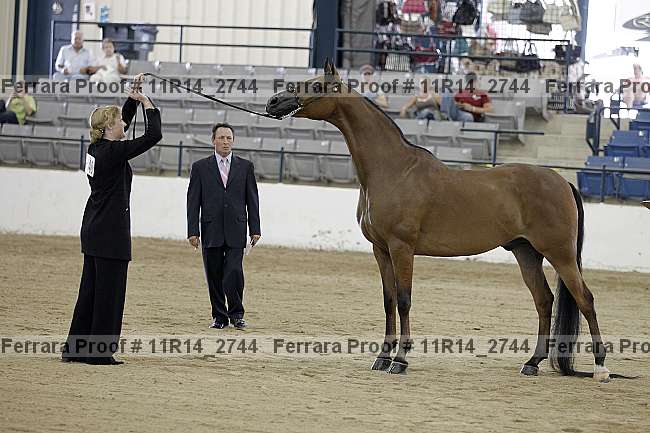 Proof 11r14_2744
