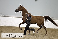 11r14_2755 proof