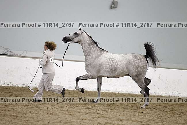 Proof 11r14_2767