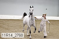 11r14_2768 proof