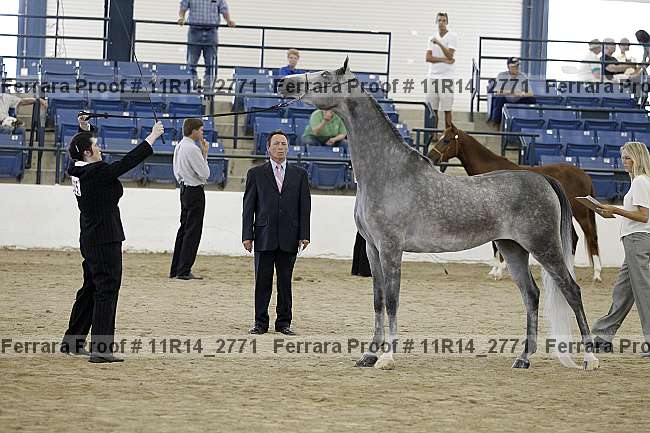 Proof 11r14_2771