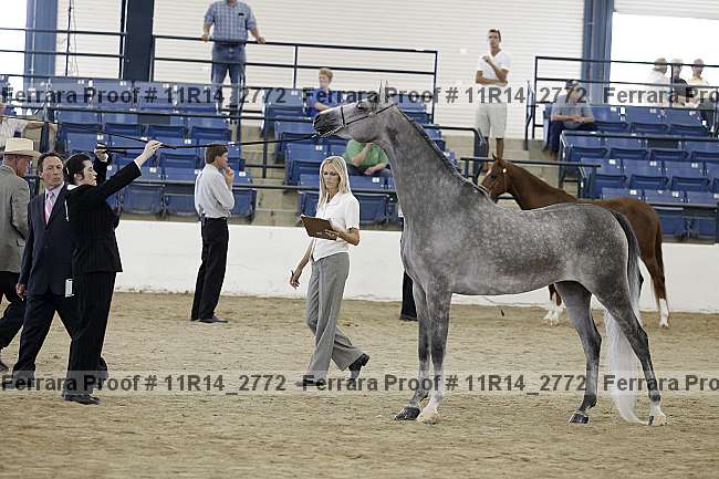 Proof 11r14_2772